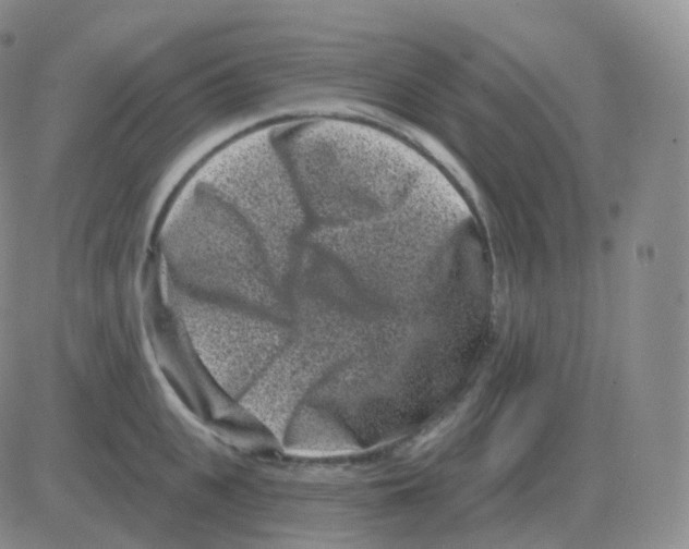 X0000082680951200702232134