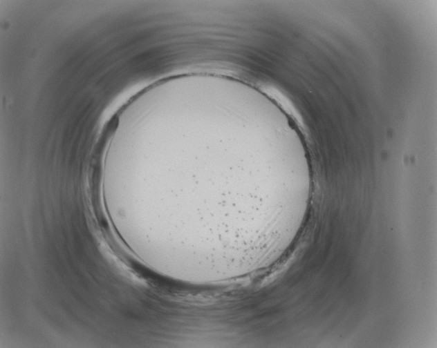 X0000082680952200702232134