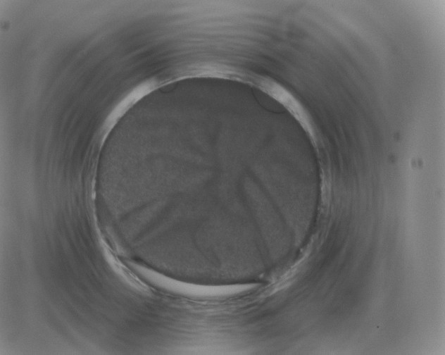 X0000082680954200702232135