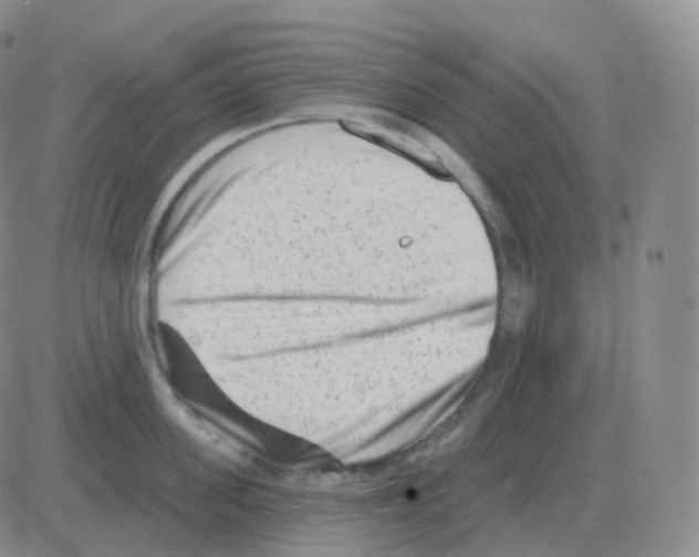 X0000082680955200702232135