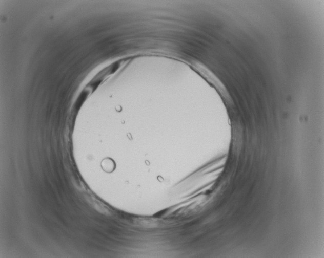 X0000082680956200702232135