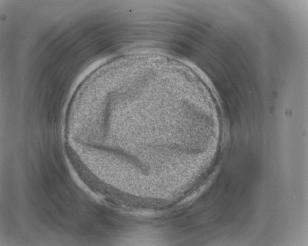 X0000082680957200702232135