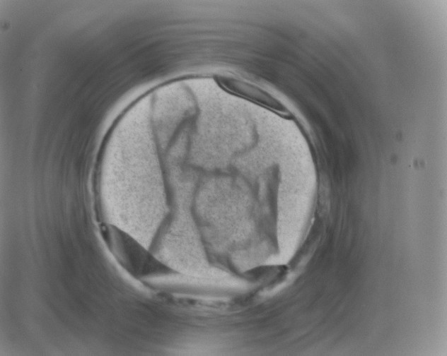 X0000082680959200702232135