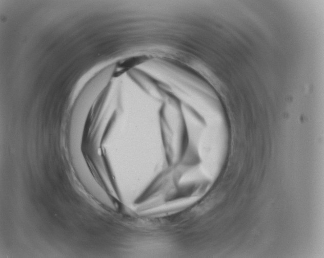 X0000082680960200702232135