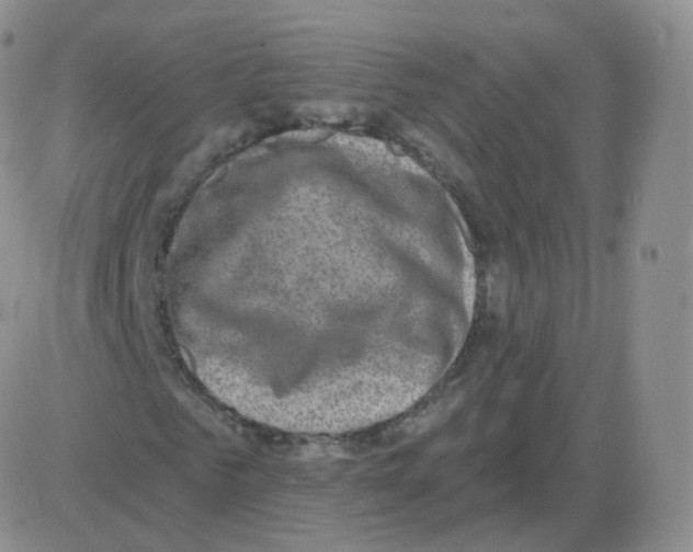 X0000082680961200702232134