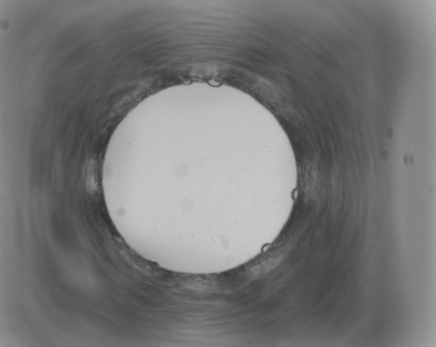 X0000082680962200702232134