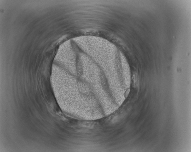 X0000082680963200702232134