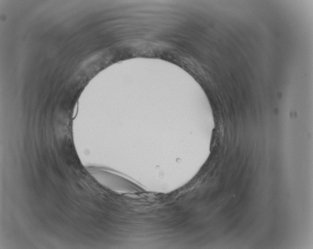 X0000082680964200702232134