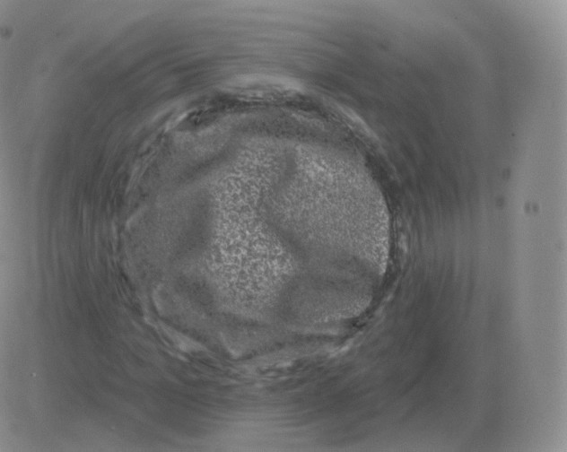 X0000082680965200702232134