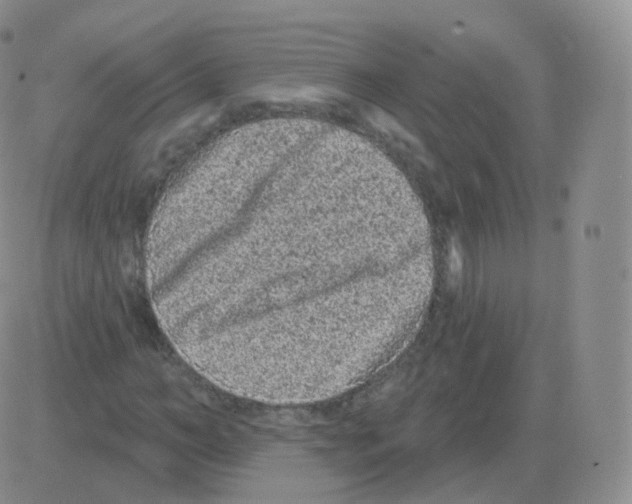 X0000082680966200702232134