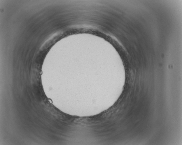 X0000082680967200702232134