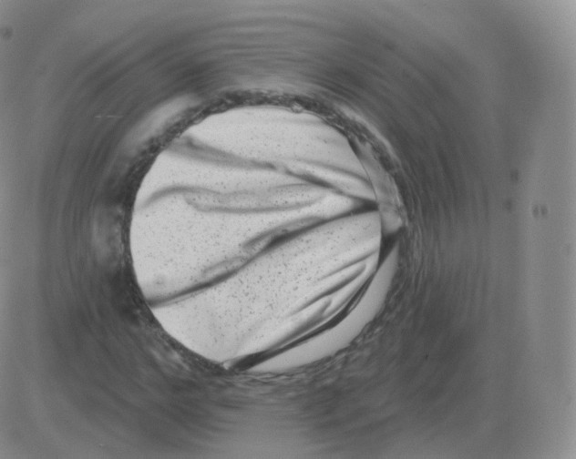 X0000082680968200702232134