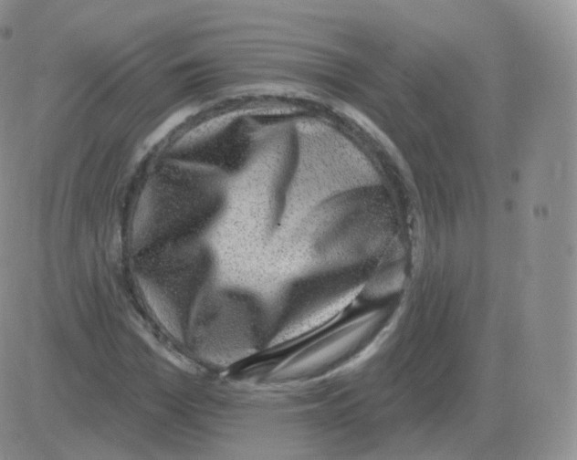 X0000082680969200702232134