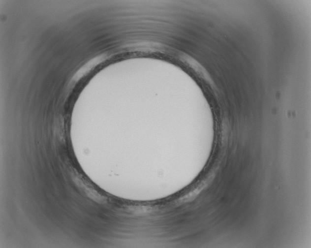 X0000082680970200702232134