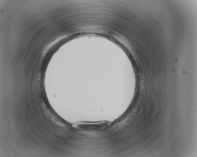 X0000082680971200702232134