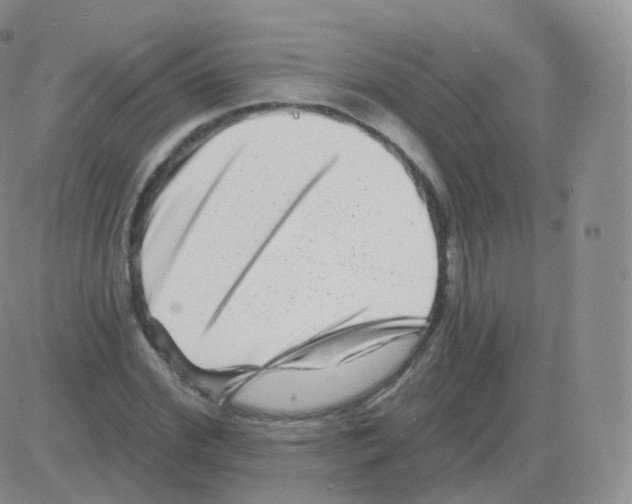 X0000082680972200702232134