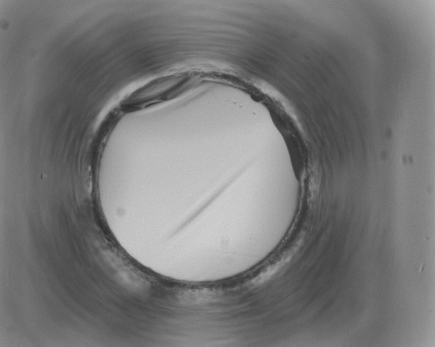 X0000082680973200702232134