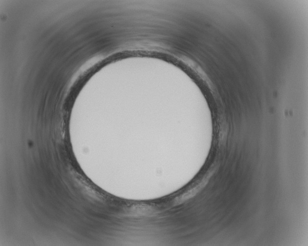 X0000082680974200702232134