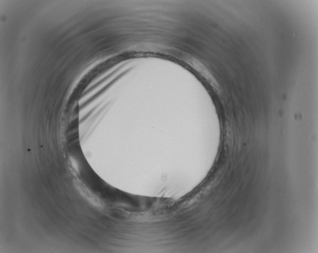 X0000082680976200702232134