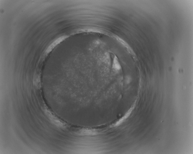 X0000082680977200702232134