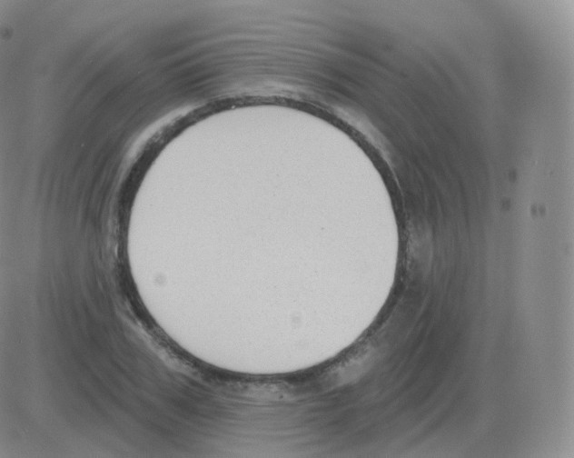 X0000082680979200702232134