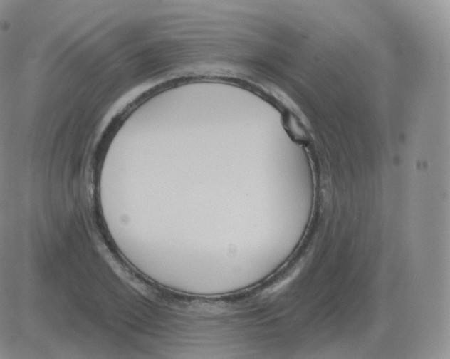 X0000082680981200702232133