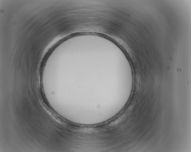 X0000082680982200702232133