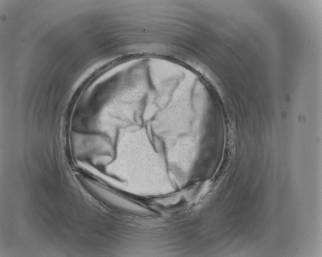 X0000082680983200702232133