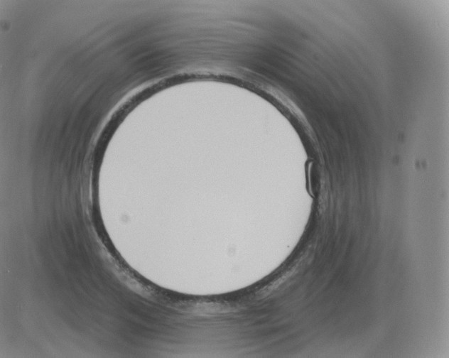 X0000082680984200702232133