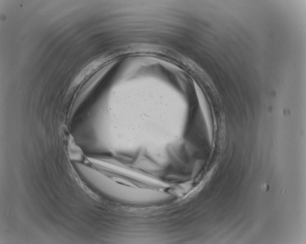 X0000082680985200702232133