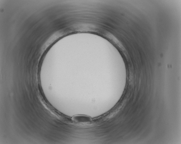 X0000082680986200702232133