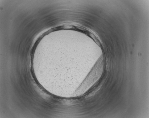 X0000082680987200702232133