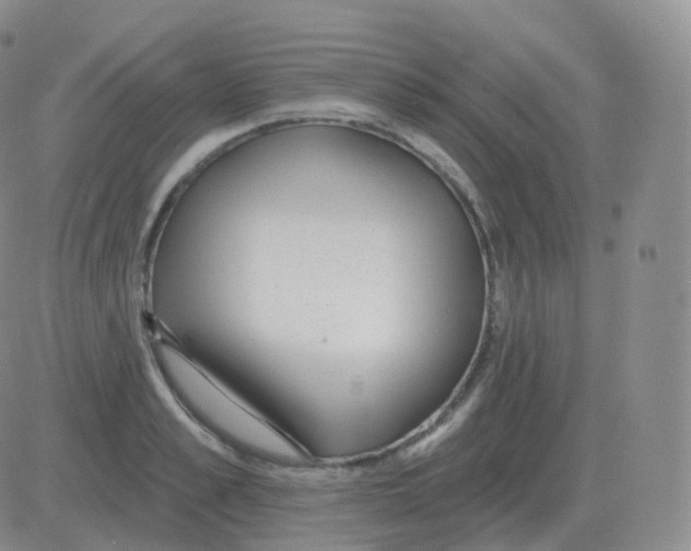 X0000082680989200702232133