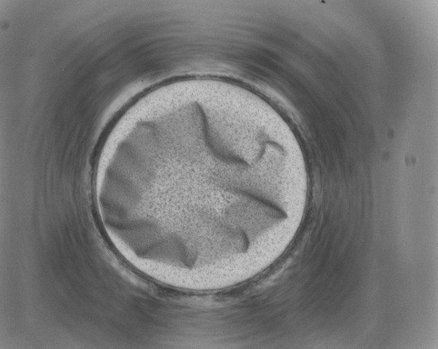 X0000082680990200702232133