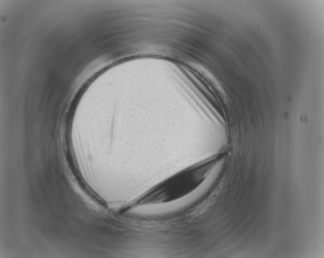 X0000082680991200702232133