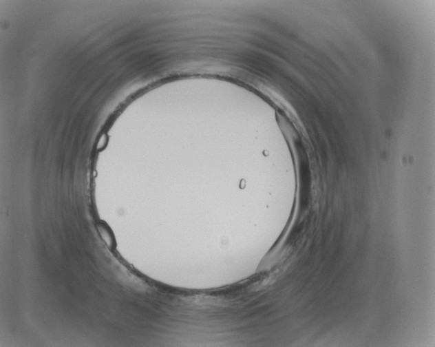 X0000082680992200702232133