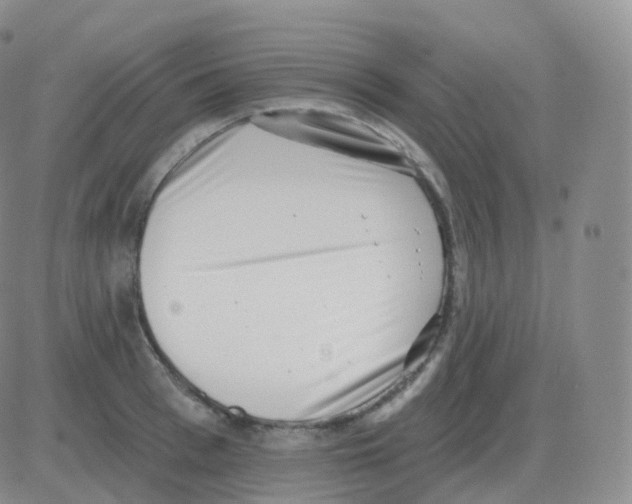 X0000082680993200702232133