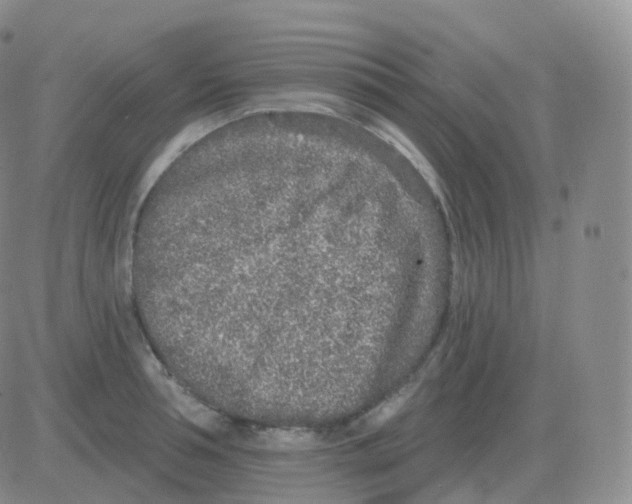 X0000082680994200702232133