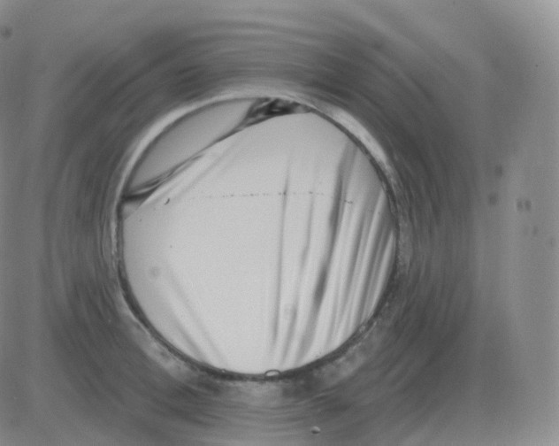 X0000082680996200702232133