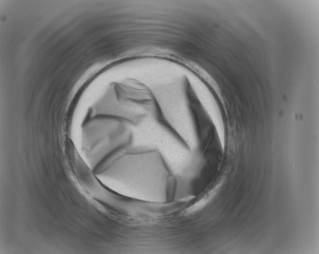 X0000082680997200702232133