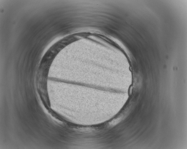 X0000082680999200702232133