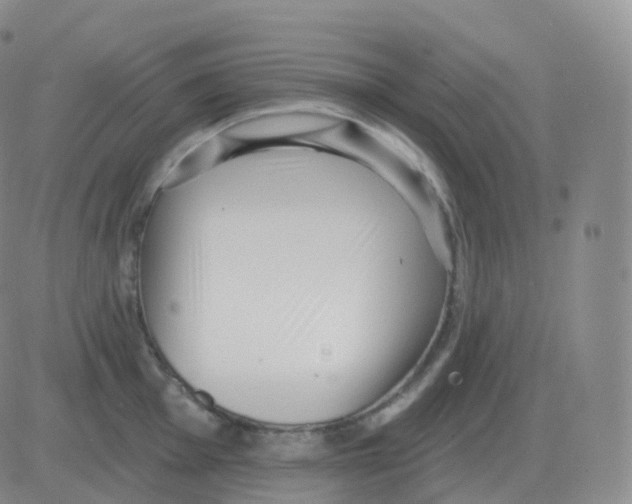 X0000082681001200702232133