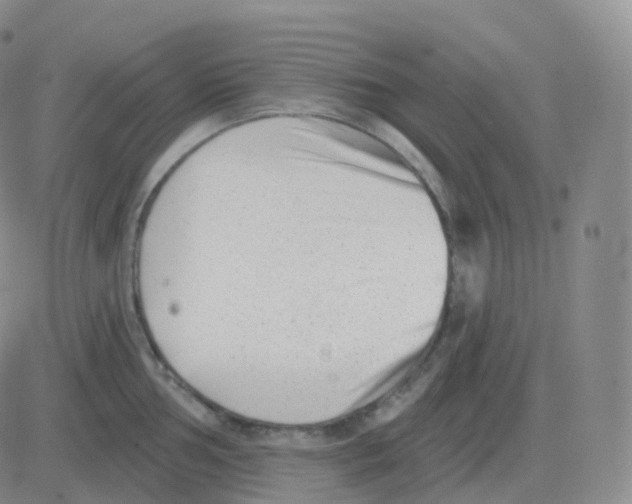 X0000082681002200702232133