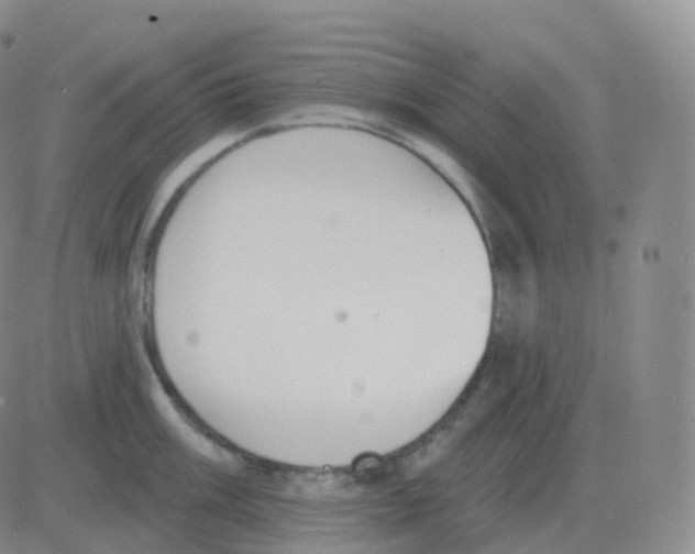 X0000082681003200702232133