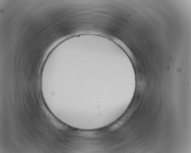 X0000082681004200702232133