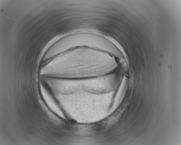 X0000082681005200702232133