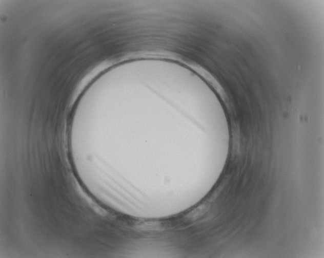 X0000082681006200702232133