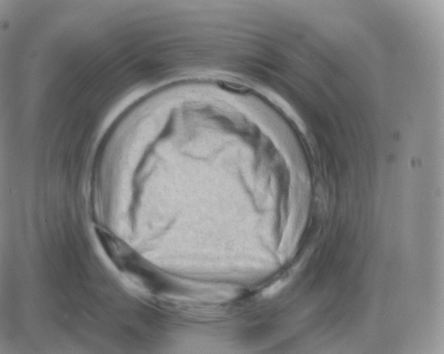 X0000082681007200702232133