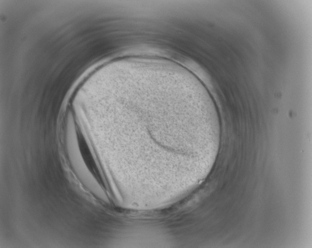 X0000082681008200702232133