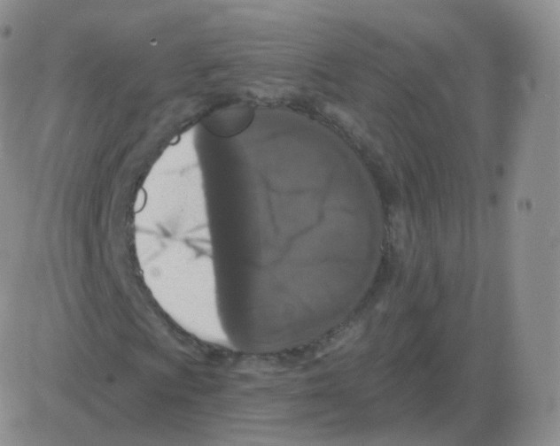 X0000082681009200702232132